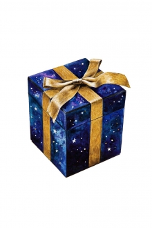 Deine Wunschartikel als Surprise-Box verpacken auf Wunsch im Geschenkpapier